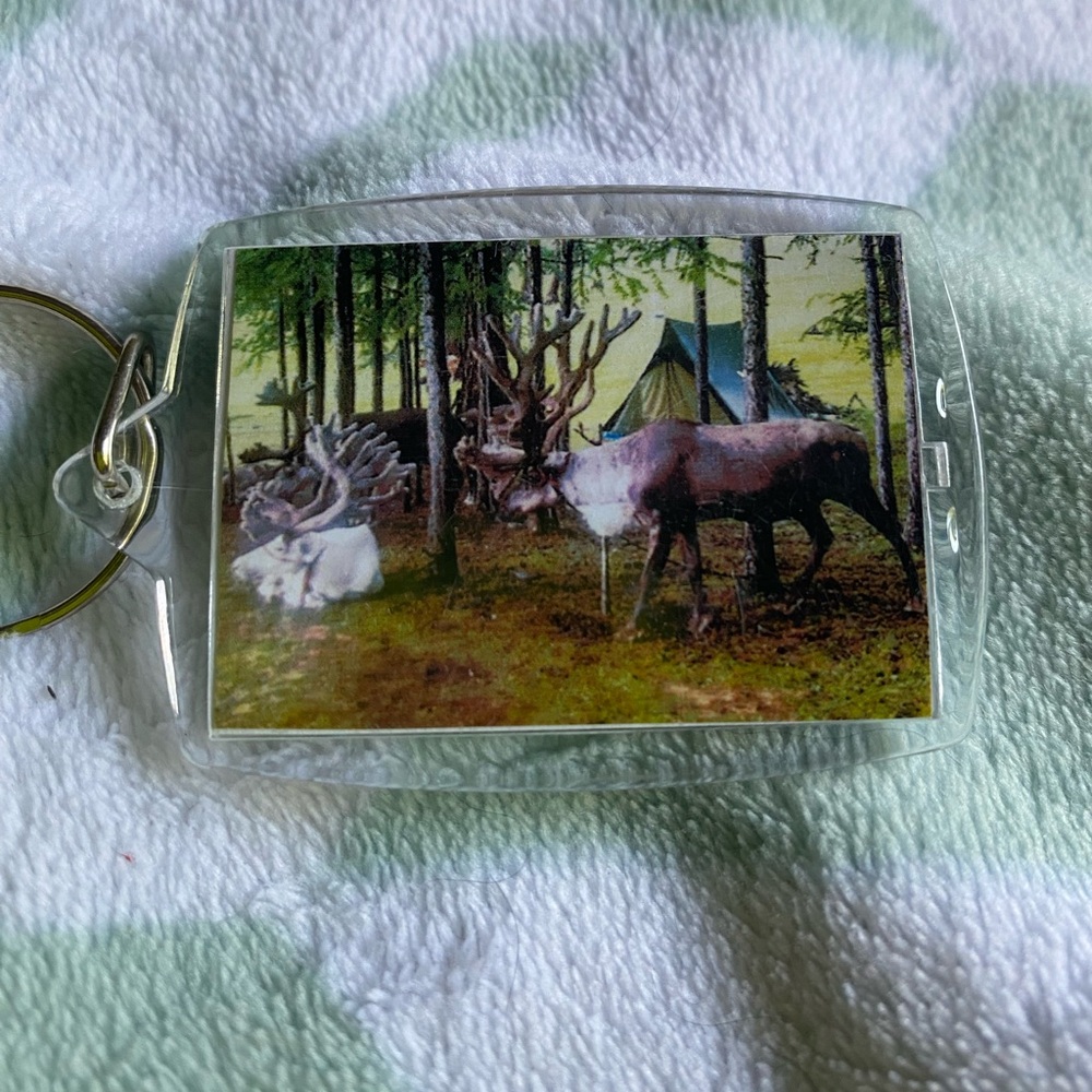 Key chain - Picture 9 of 9